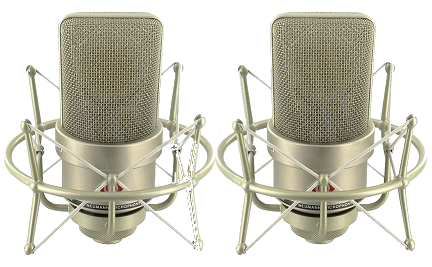Микрофон Neumann TLM 103 stereo set