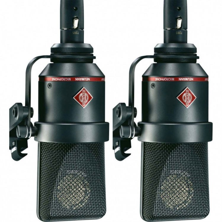 Микрофон Neumann TLM 170 R stereo set