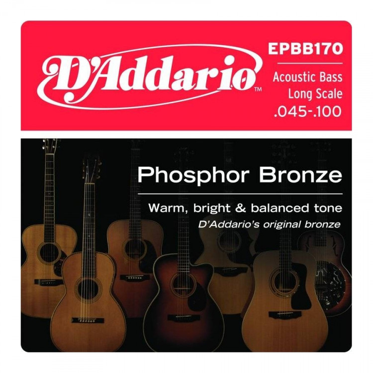 D'ADDARIO EPBB170 - струны для акуст. БАС-гитары. SOFT, фосфор-бронза 45-100